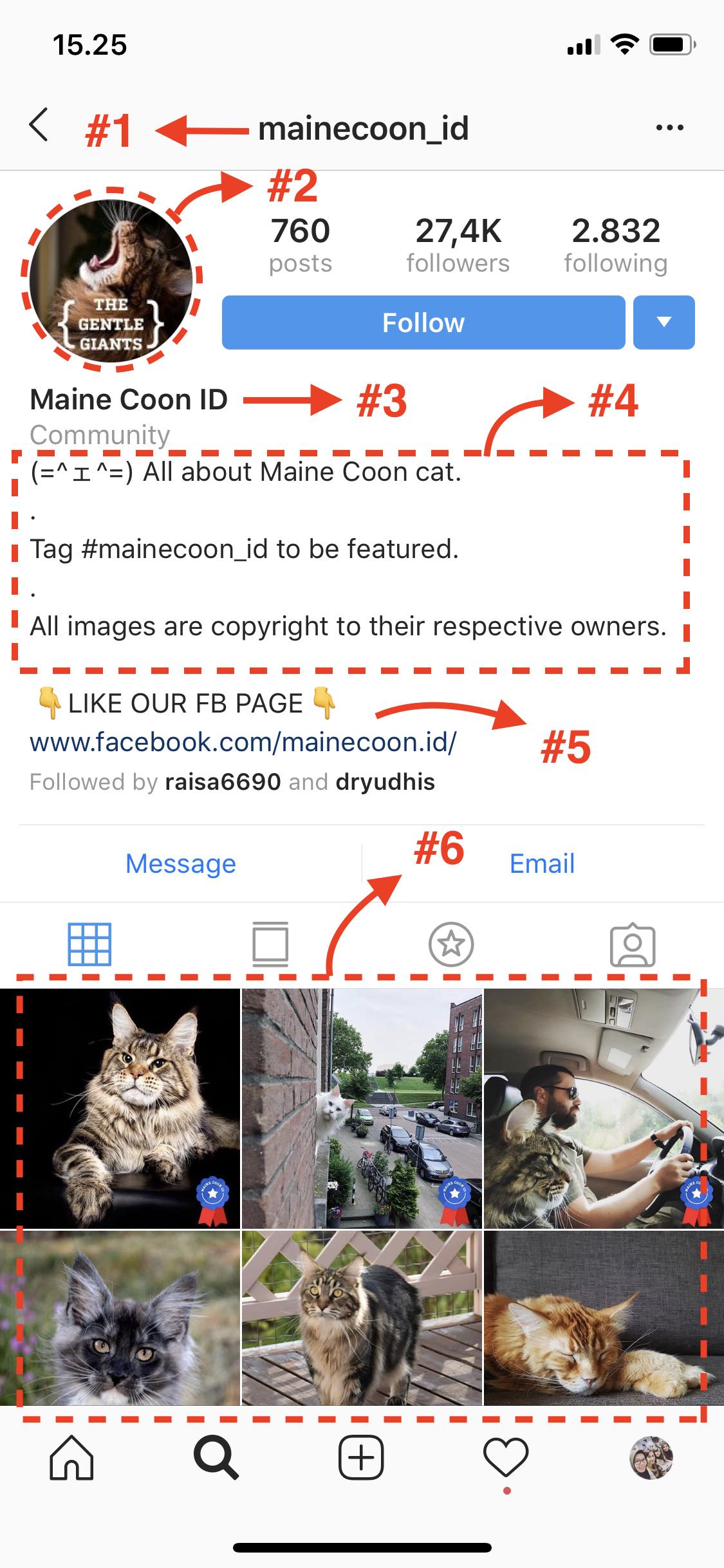 Detail Gambar Bagus Untuk Profil Instagram Nomer 37