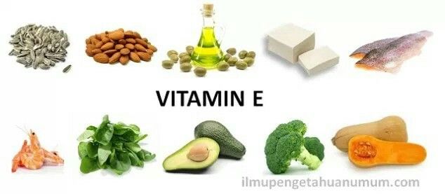 Detail Gambar Bahan Yang Mengandung Vitamin Nomer 15