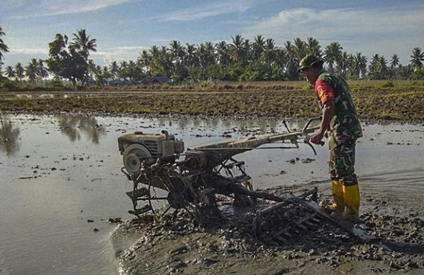 Detail Gambar Bajak Sawah Nomer 33