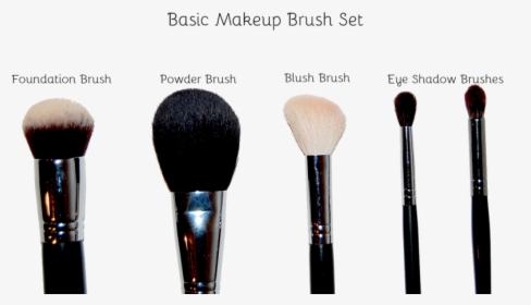 Detail Powder Brush Png Nomer 8