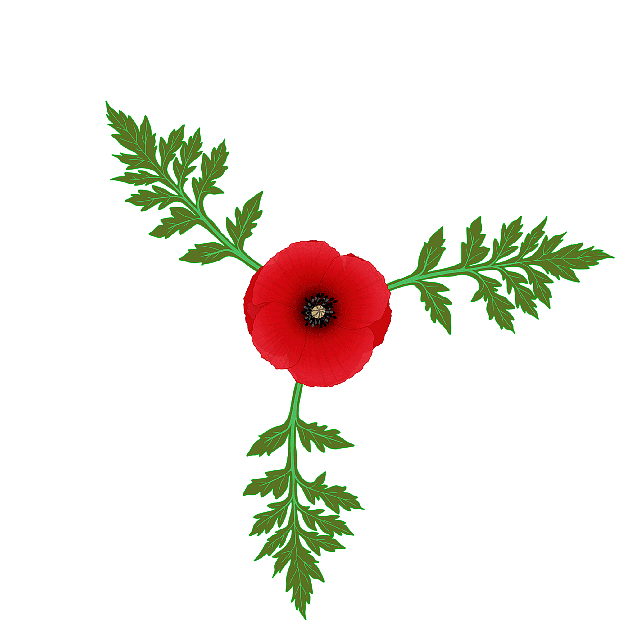 Detail Von Mohn High Nomer 8