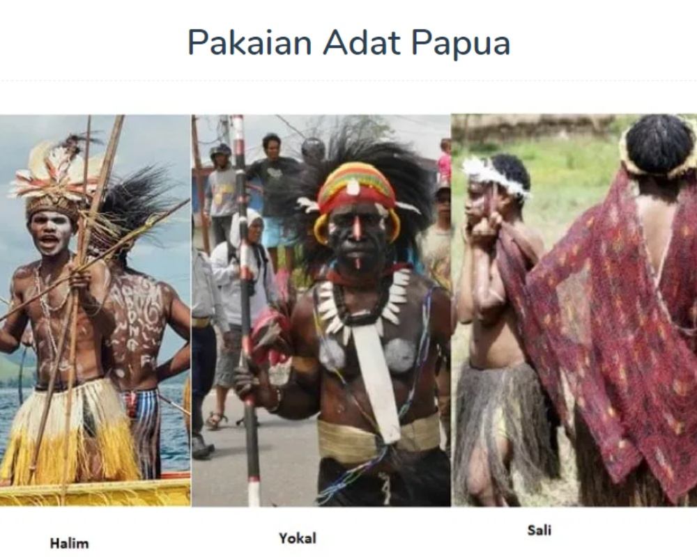 Detail Gambar Baju Adat Papua Nomer 57