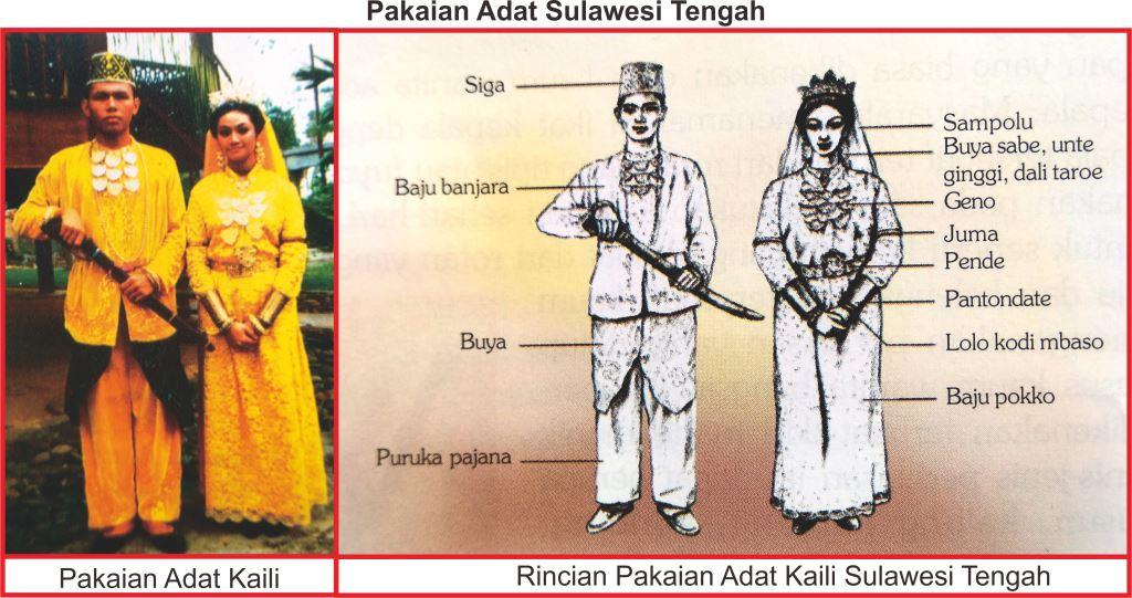 Detail Gambar Baju Adat Sulawesi Tengah Nomer 7