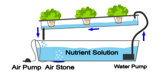 Detail Hochdruck Aeroponic Nomer 4