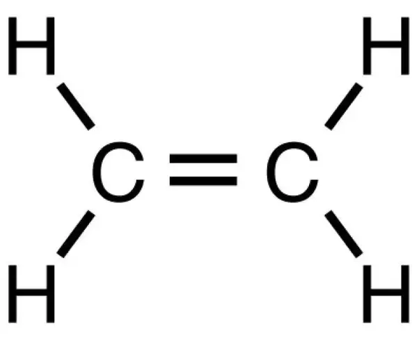 Monomer Polyethylen - KibrisPDR