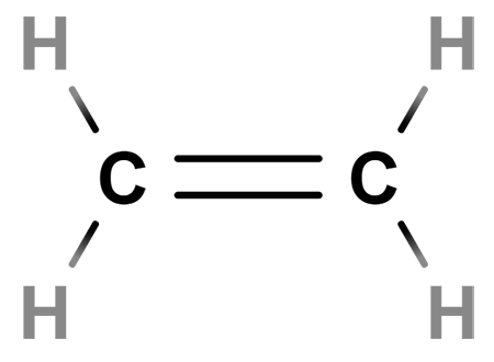 Detail Monomer Polyethylen Nomer 4