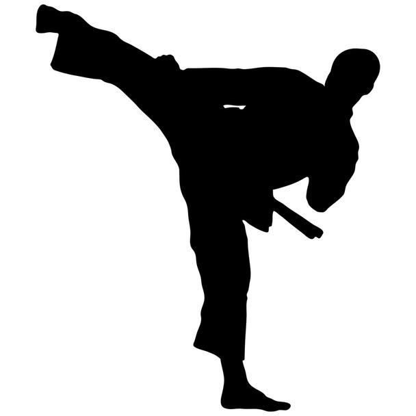 Detail Silat Karate Nomer 9