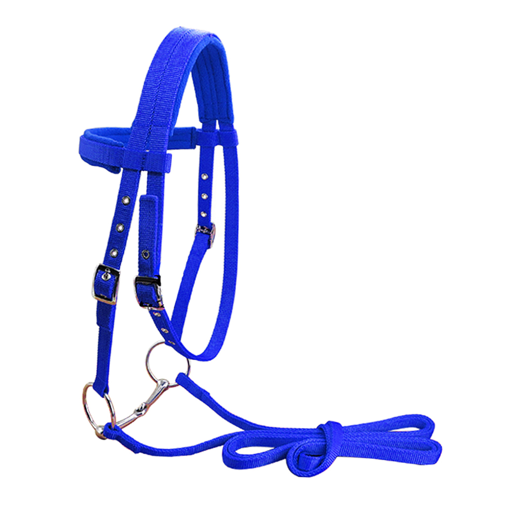 Detail Blue Horse Tack Nomer 21