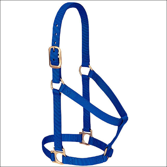 Detail Blue Horse Tack Nomer 22