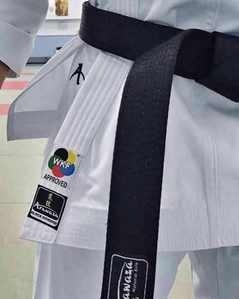 Detail Gambar Baju Karate Nomer 16