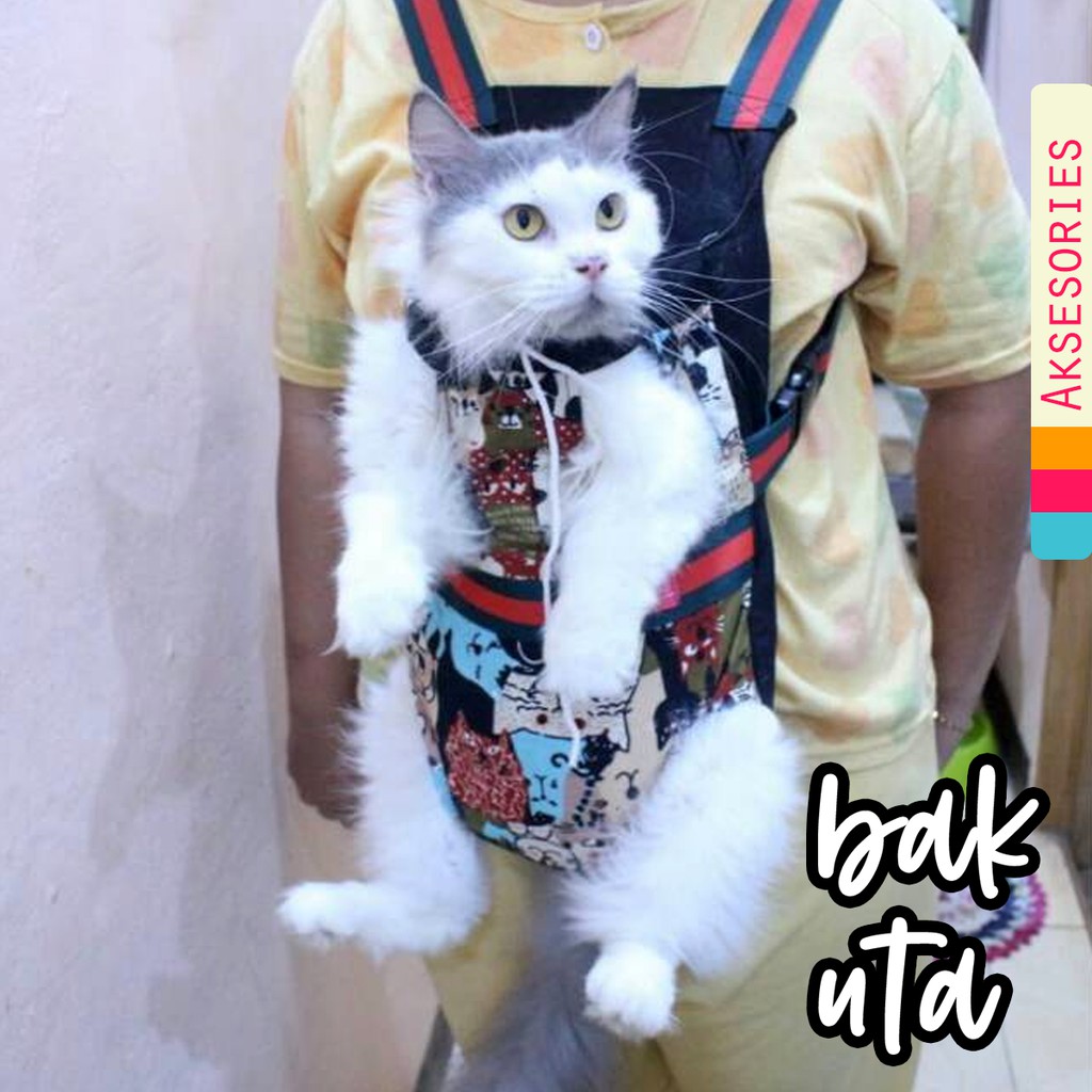 Detail Gambar Baju Kucing Anggora Nomer 7