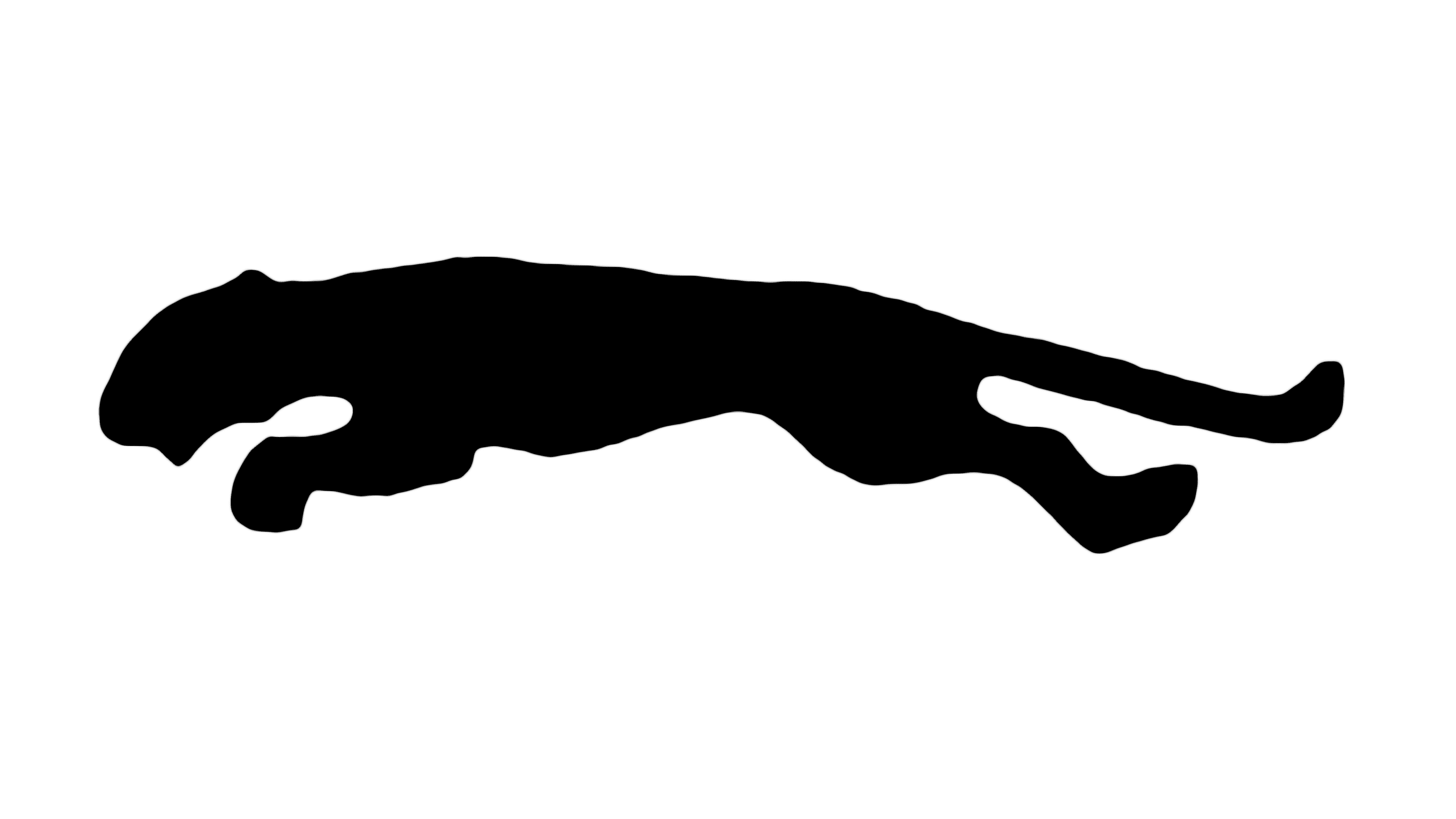 Detail Puma Zeichen Nomer 24