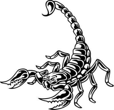 Detail Skorpion Tattoo Sternbild Nomer 4