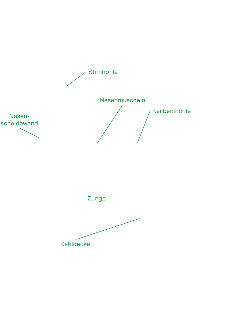 Detail Beschriftung Bakterienzelle Nomer 23