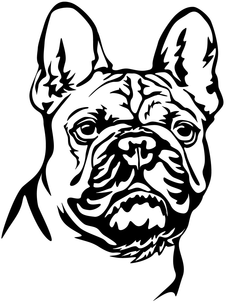 Detail Bulldogge Zeichnung Nomer 14