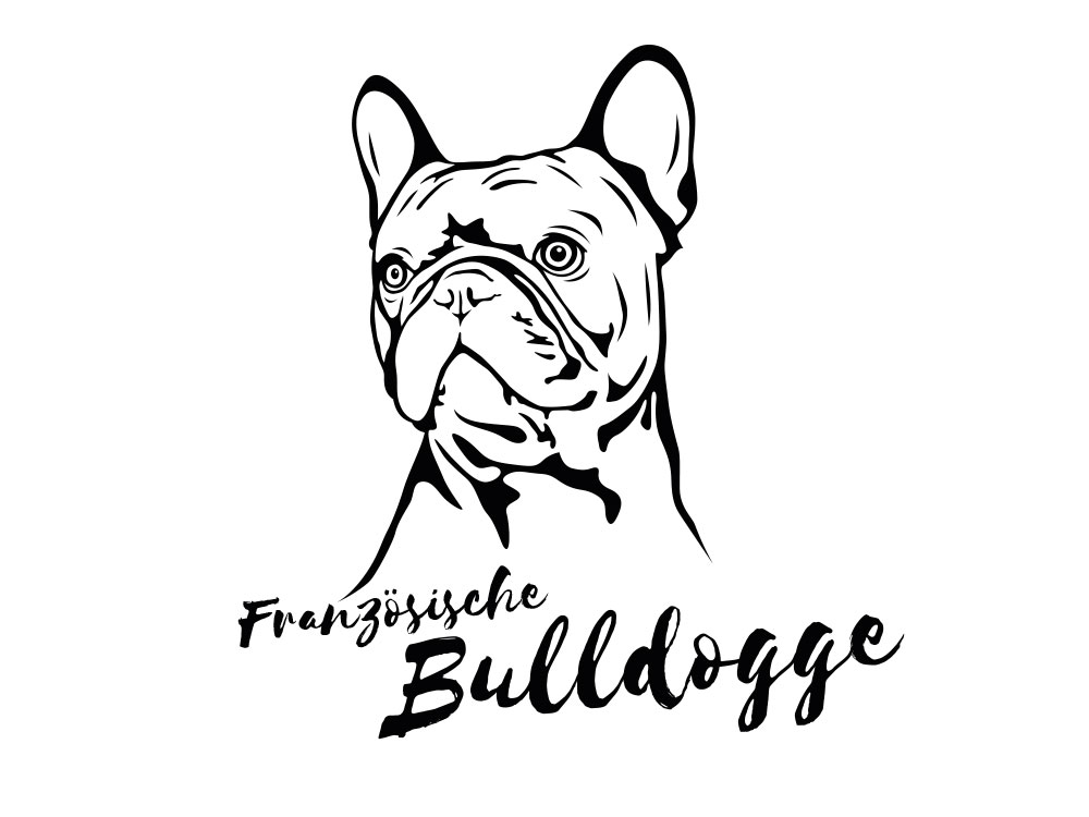 Detail Bulldogge Zeichnung Nomer 5