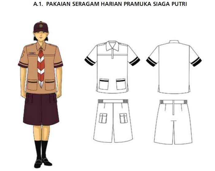 Detail Gambar Baju Pramuka Nomer 24