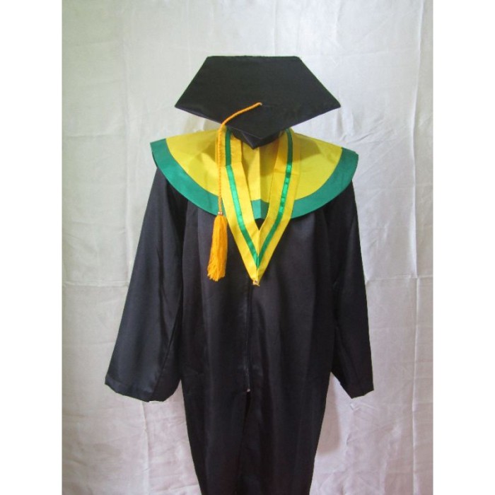 Detail Gambar Baju Toga Badan Wisuda Png Nomer 10