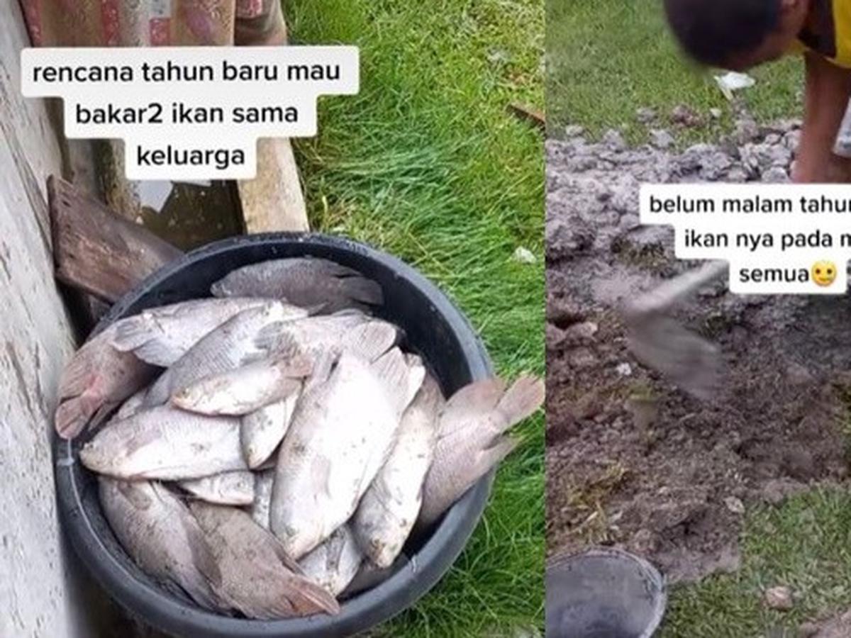 Detail Gambar Bakar Ikan Lucu Nomer 15