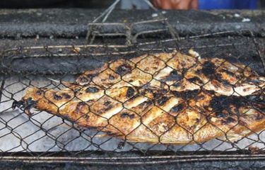 Detail Gambar Bakar Ikan Lucu Nomer 27