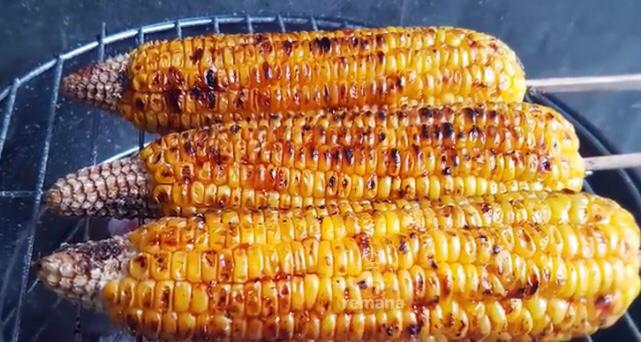 Detail Gambar Bakar Jagung Nomer 25