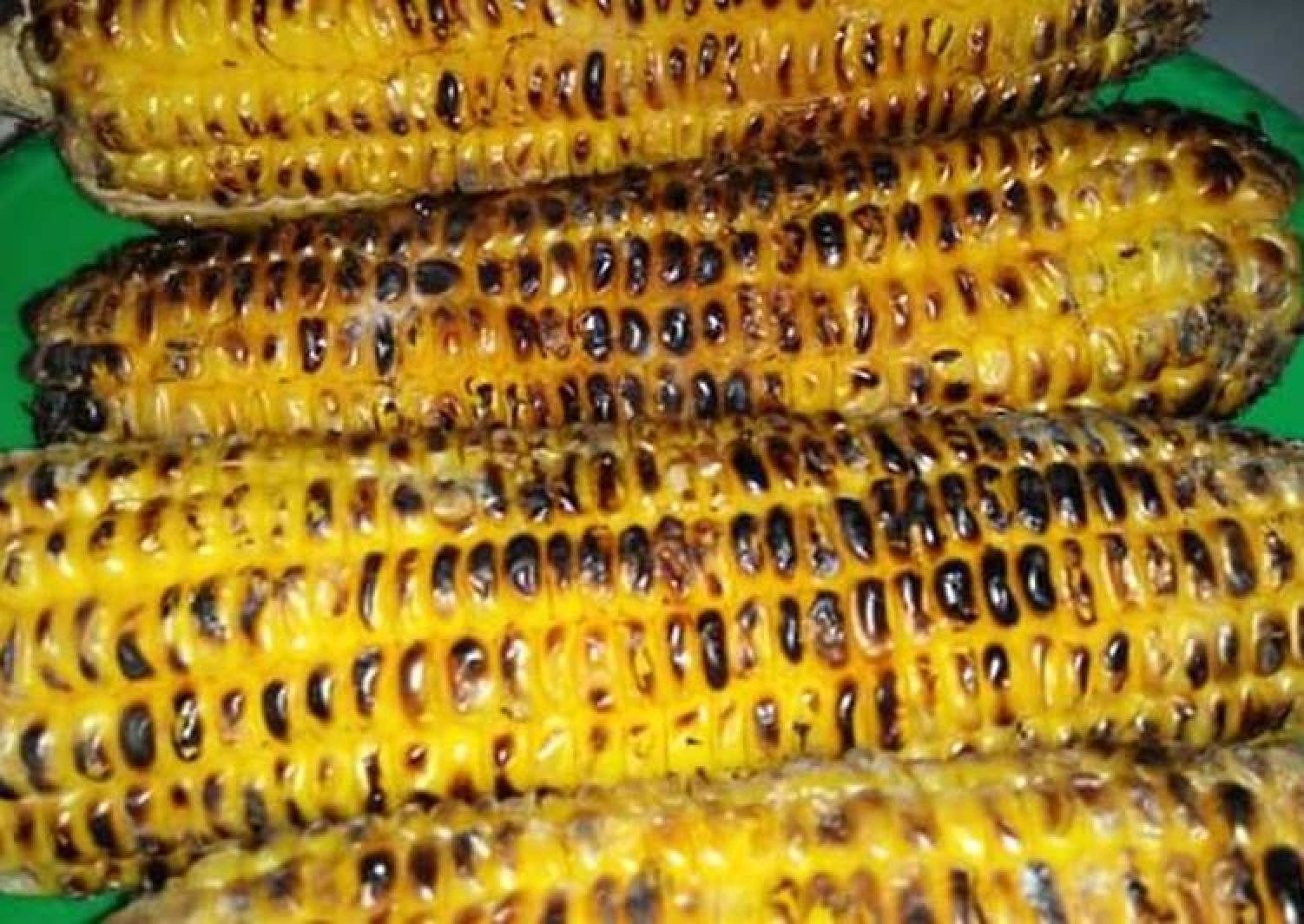 Detail Gambar Bakar Jagung Nomer 29