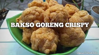 Detail Gambar Bakso Goreng Crispy Nomer 21