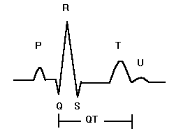 Detail Ekg Kurve Bilder Nomer 21