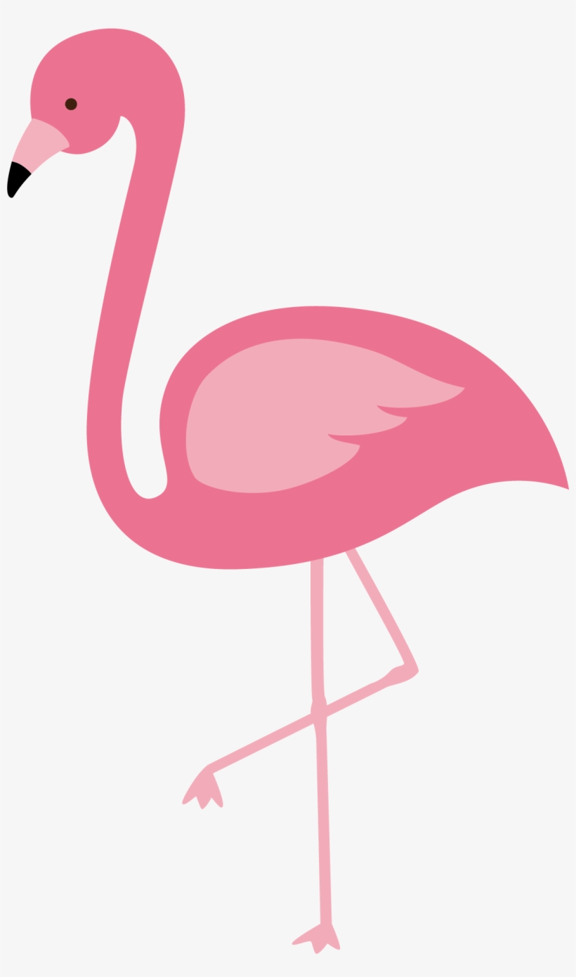 Detail Flamingo Flamingo Nomer 13
