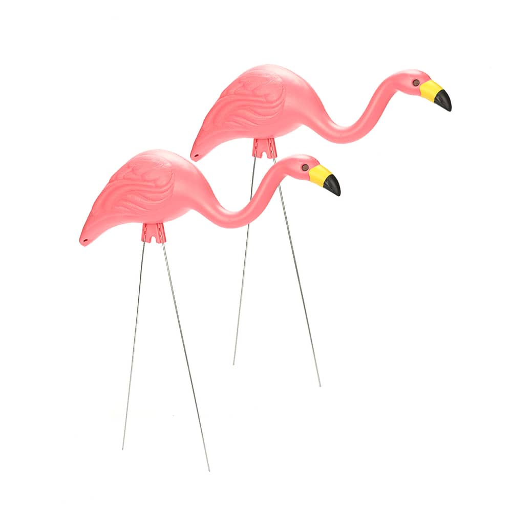 Detail Flamingo Flamingo Nomer 27