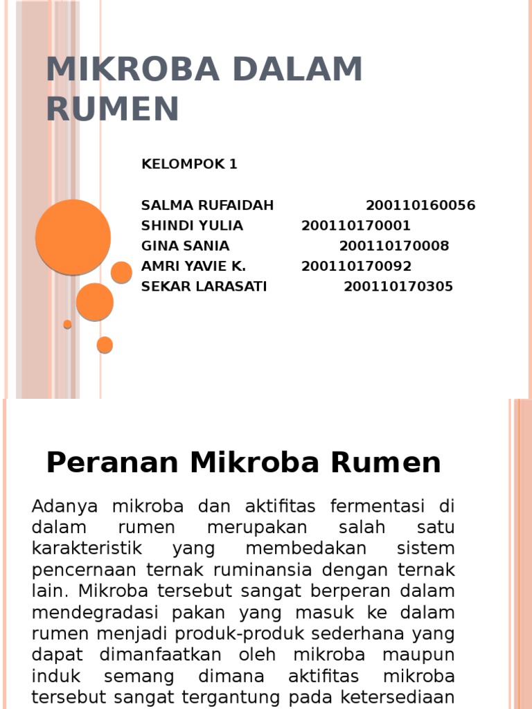 Detail Gambar Bakteri Dalam Rumen Nomer 16