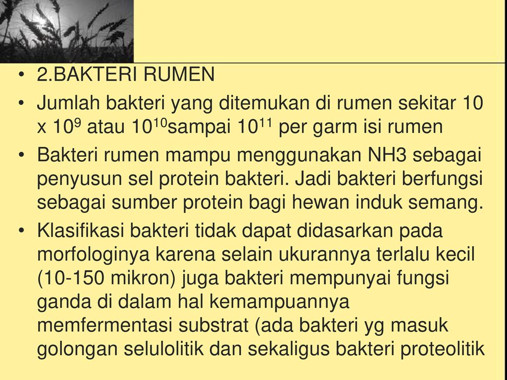 Detail Gambar Bakteri Dalam Rumen Nomer 3