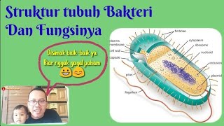 Detail Gambar Bakteri Dan Bagiannya Nomer 31