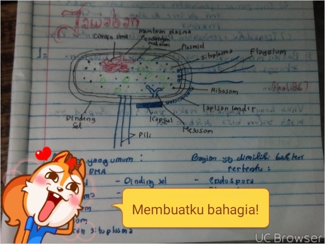 Detail Gambar Bakteri Dan Bagiannya Nomer 51