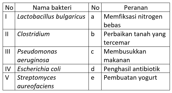 Detail Gambar Bakteri Dan Namanya Nomer 55