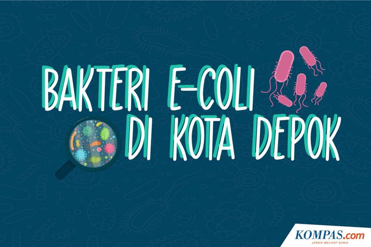 Detail Gambar Bakteri E Colli Nomer 37