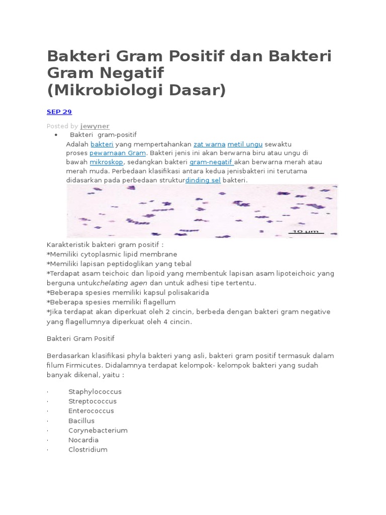 Detail Gambar Bakteri Gram Positif Dan Negatif Nomer 43