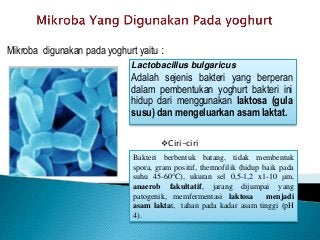 Detail Gambar Bakteri Lactobacillus Bulgaricus Nomer 29