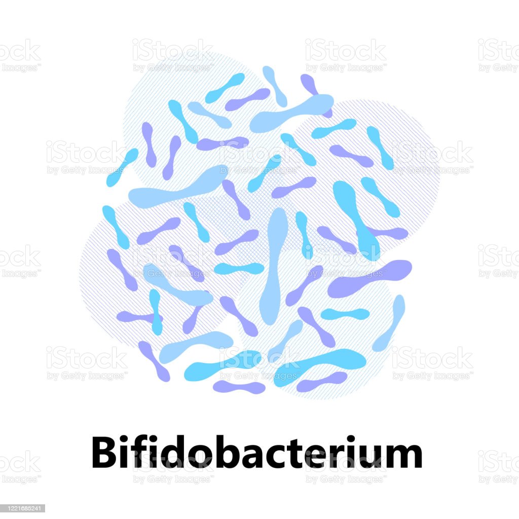 Detail Gambar Bakteri Lactobacillus Bulgaricus Nomer 30