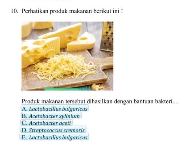 Detail Gambar Bakteri Lactobacillus Bulgaricus Nomer 39