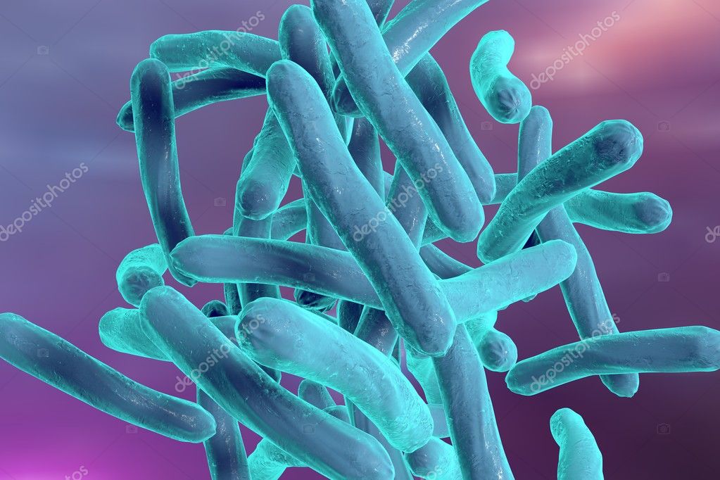 Detail Gambar Bakteri Mycobacterium Tuberculosis Nomer 47