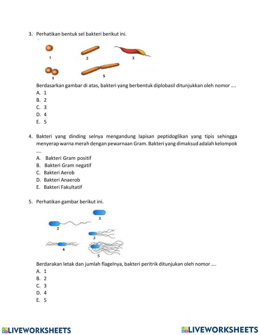 Detail Gambar Bakteri Peritrik Nomer 42