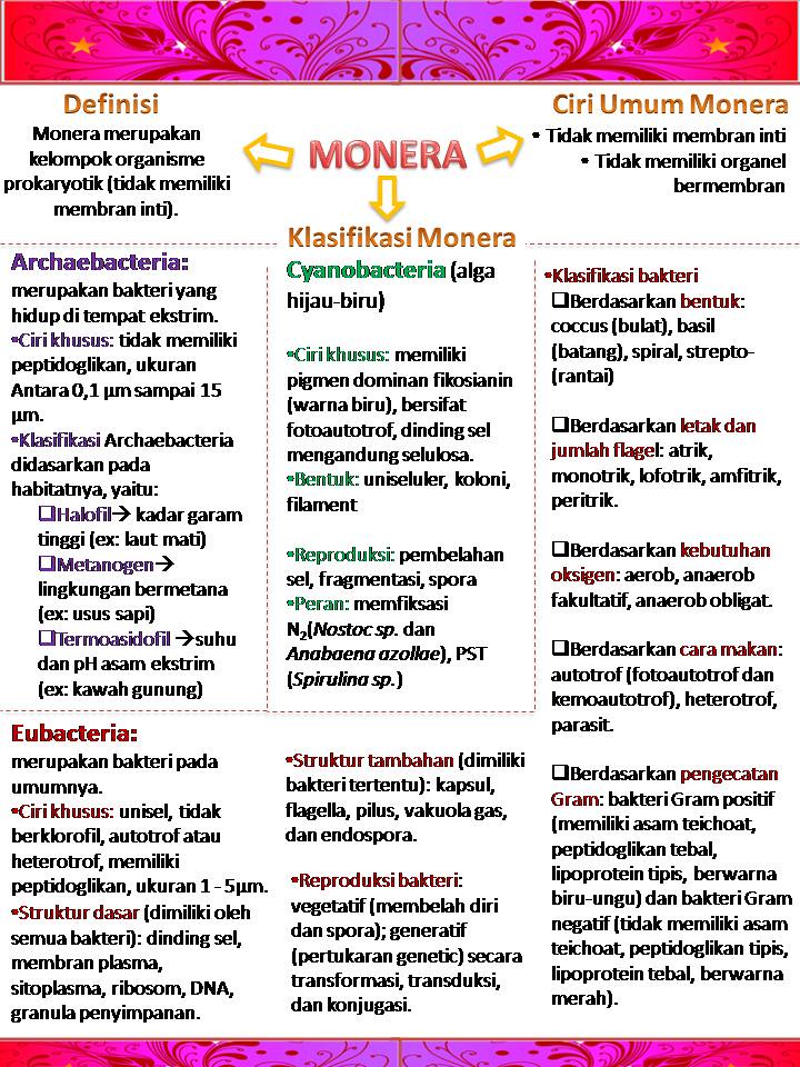 Detail Gambar Bakteri Peritrik Nomer 47