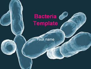 Detail Gambar Bakteri Ppt Nomer 48