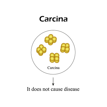 Detail Gambar Bakteri Sarcina Nomer 8