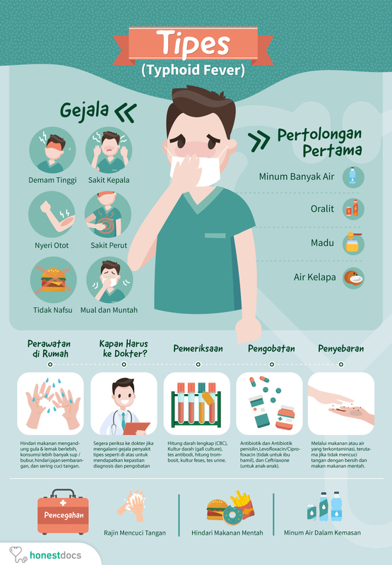 Detail Gambar Bakteri Typoid Atau Tipus Nomer 49