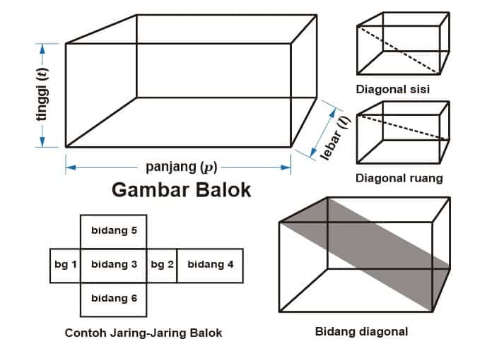 Detail Gambar Balok Dan Jaring Jaringnya Nomer 2