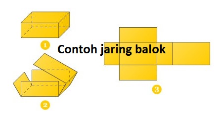 Detail Gambar Balok Dan Jaring Jaringnya Nomer 19