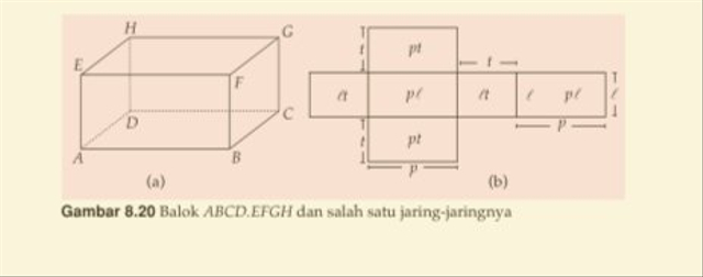 Detail Gambar Balok Dan Jaring Jaringnya Nomer 41