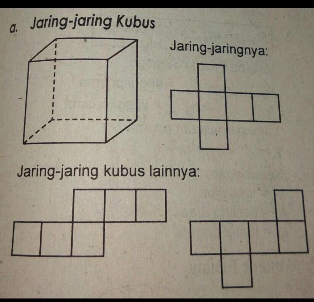 Detail Gambar Balok Dan Jaring Jaringnya Nomer 48